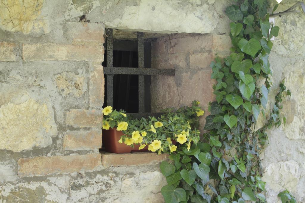 I Pianelli Villa Murlo Exterior photo